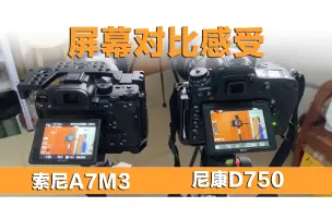 Télécharger la video: 【东哥评测】索尼A7M3和尼康D750菜单屏幕对比分享感受