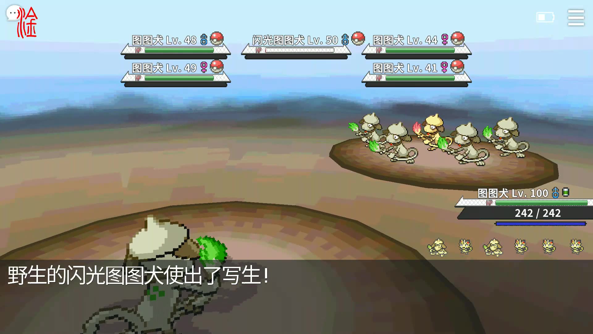【pokemmo】闪光图图犬_哔哩哔哩_bilibili