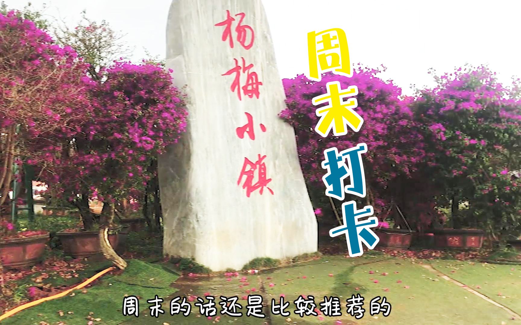 周末打卡《杨梅小镇》,没有杨梅,门票30元,会不会有点坑?