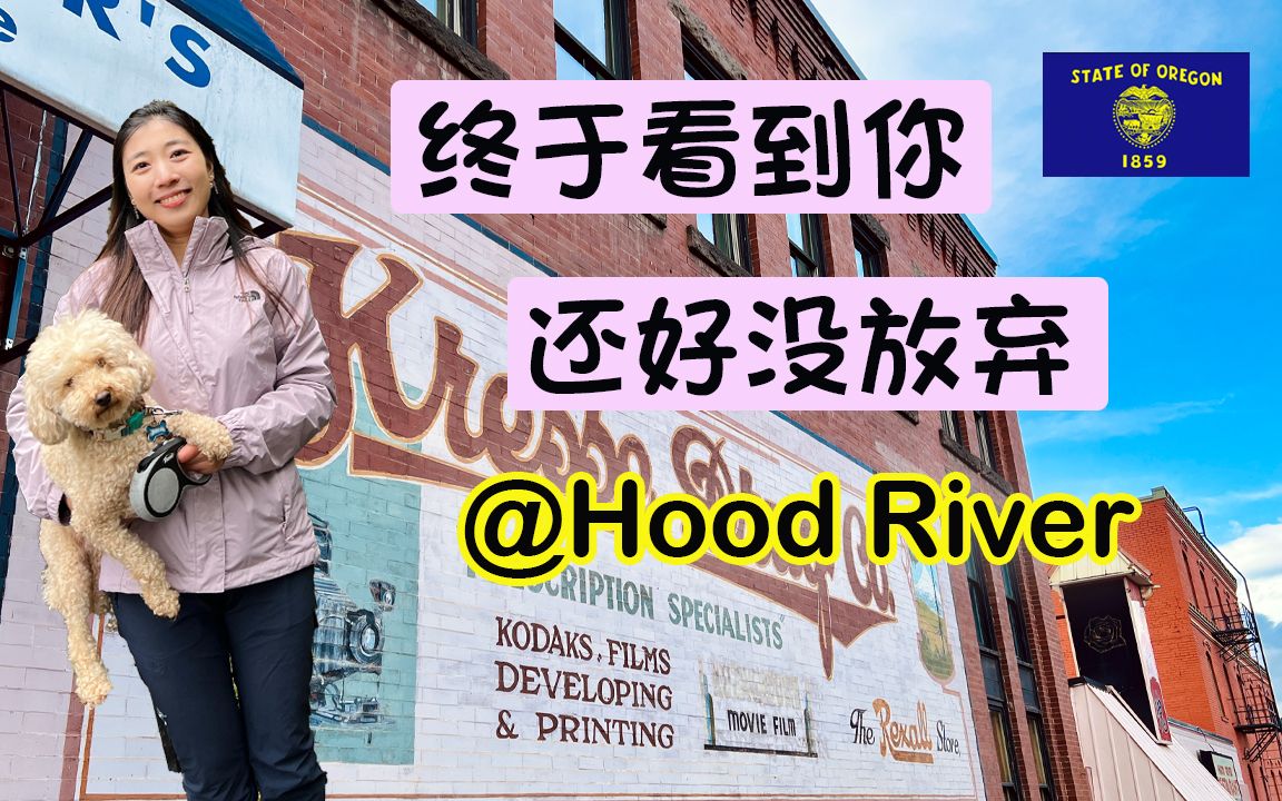 美国俄勒冈州自驾游第3集 有趣小城Hood River超好逛 千呼万唤始出来之火山Mount Hood哔哩哔哩bilibili