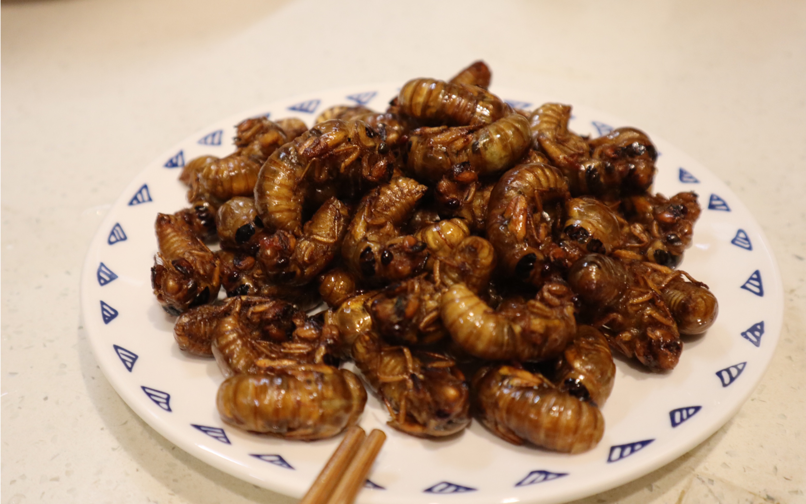 活动  【油炸知了】