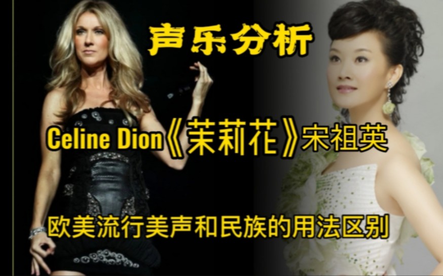 [图](专业深析)Celine Dion(席琳 · 荻翁),宋祖英演唱《茉莉花》看欧美流行美声和民族唱法的运用与区别