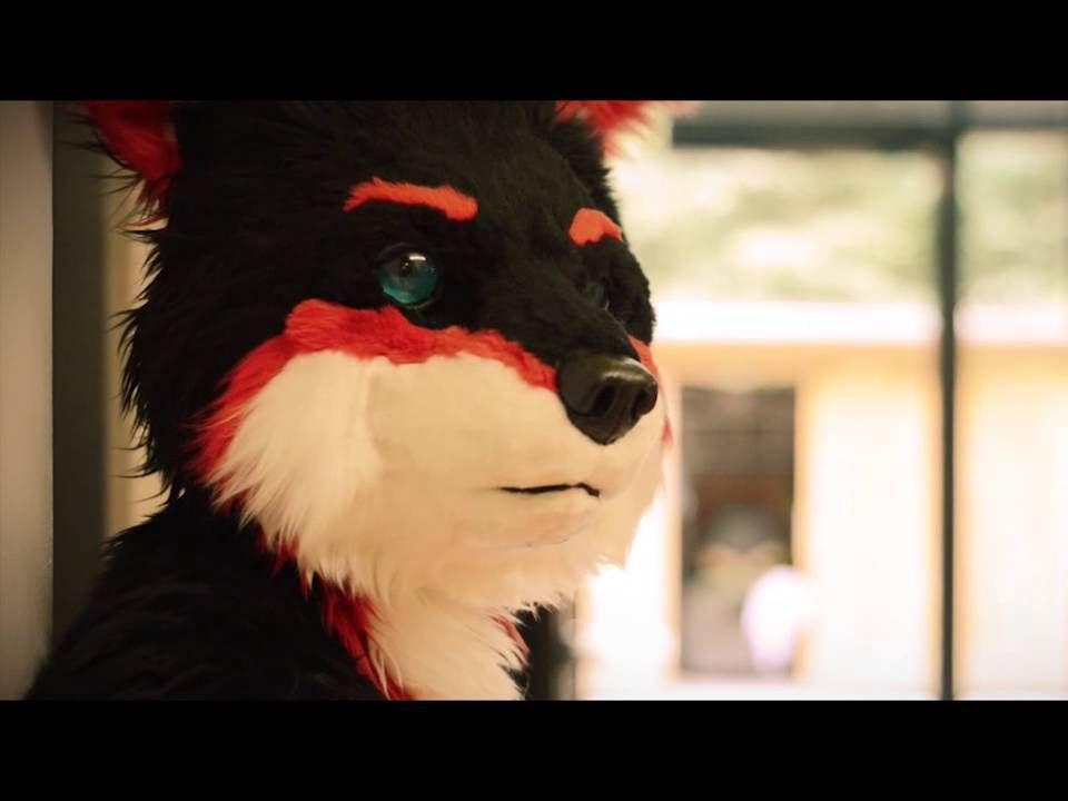 [图]【FURRY】【轉載 - 自製字幕】City of Angels/天使之城 - Fursuit Music Video by Willion