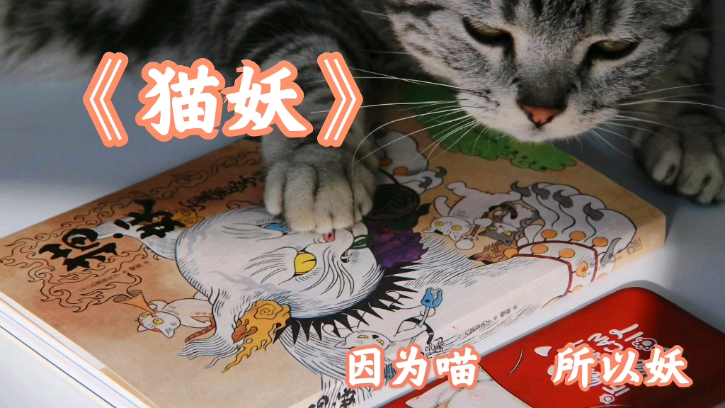 矢黑亚石子笔下绘制的百猫夜行你敢来rua吗猫妖