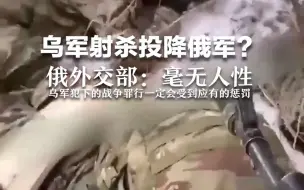 Descargar video: 乌军射杀投降俄军？俄外交部：毫无人性，乌军犯下的战争罪行一定会受到应有的惩罚