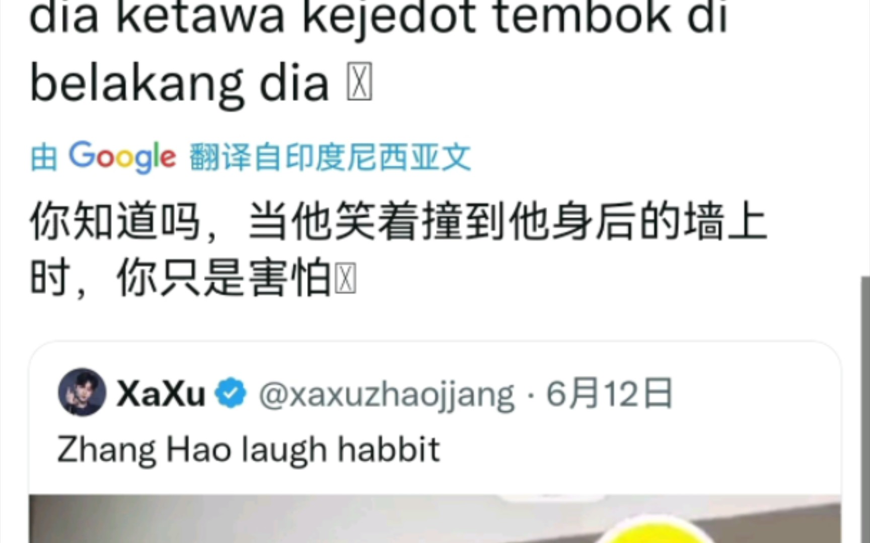 【章昊】⭕️外网评论 “奇奇怪怪 可可爱爱” 特辑 | 关键词:laugh 掌纹 打折 嗷呜 230621哔哩哔哩bilibili