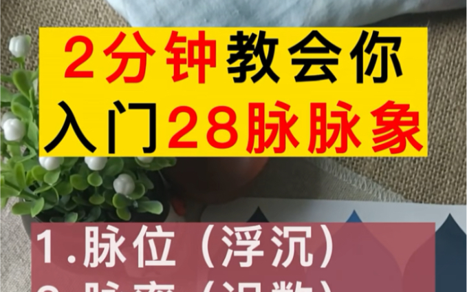 [图]2分钟教会你中医入门的28种脉象