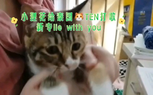 [图]小狸花跳TEN新专Lie With You^O^中国猫帮泰国猫打歌