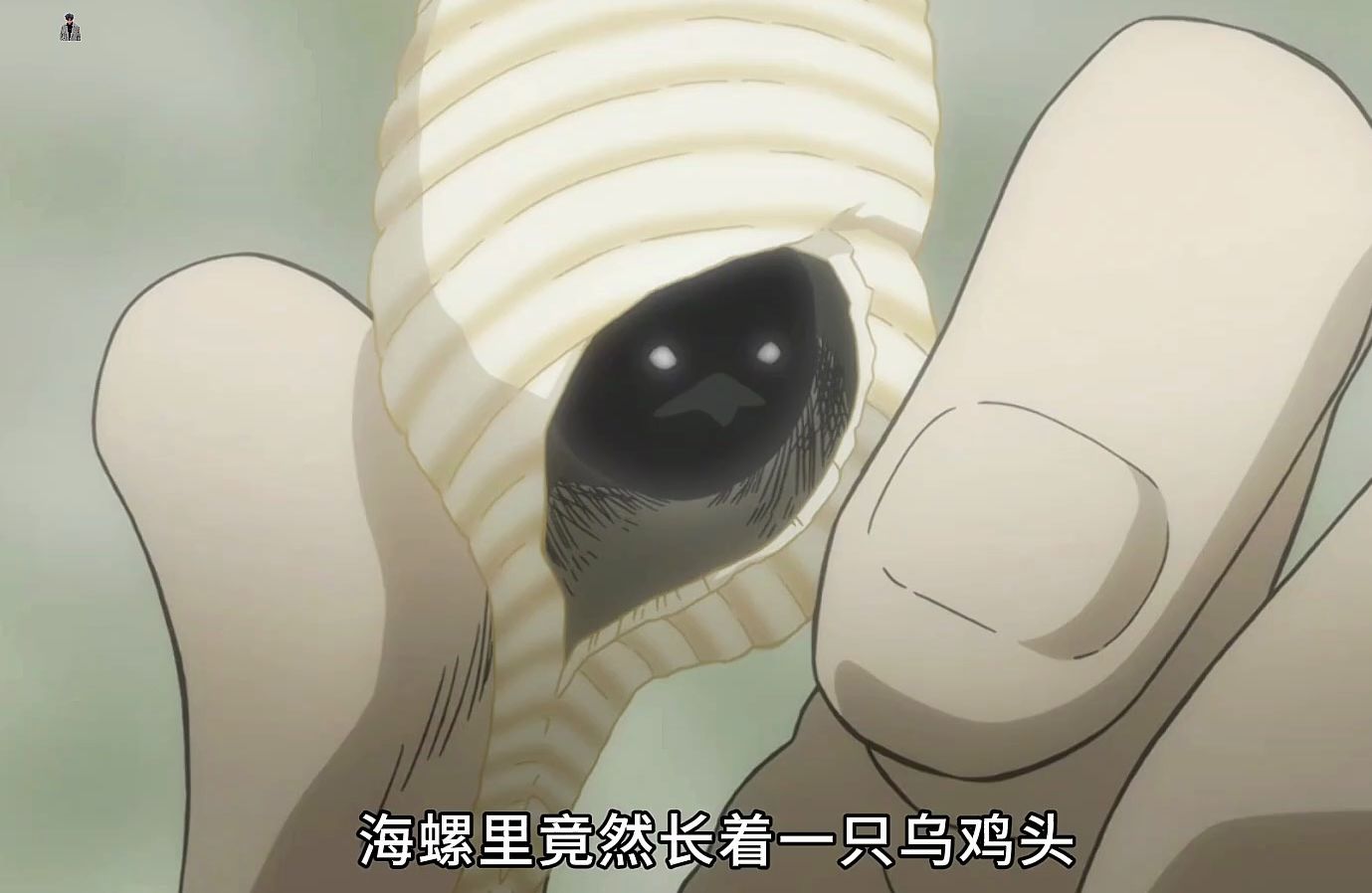 海螺里长着一颗乌鸡(坤)头,女孩只是听到它的声音,就变成了哑巴