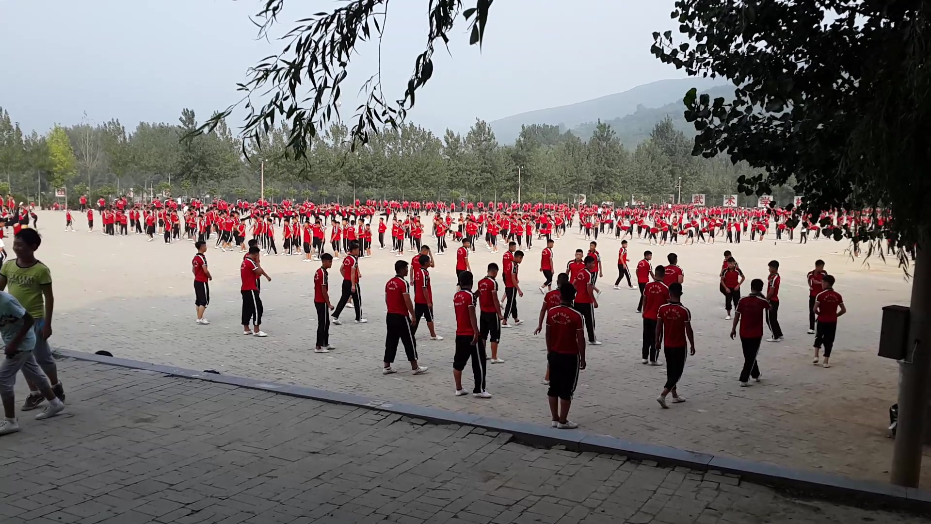 活动  嵩山少林寺 塔沟武校 练武
