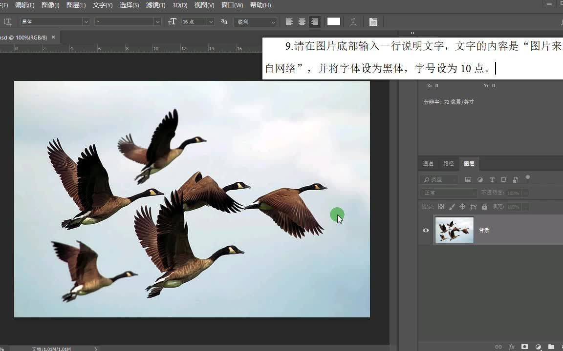 Photoshop 国际认证考试ACA强化练习23哔哩哔哩bilibili