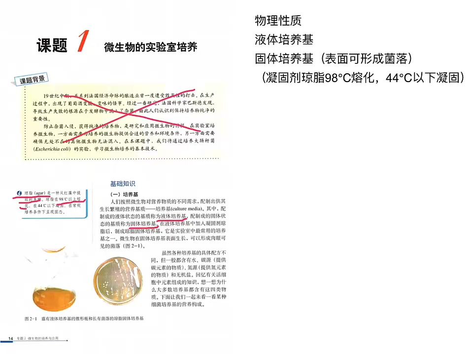 微生物的实验室培养培养基配制哔哩哔哩bilibili