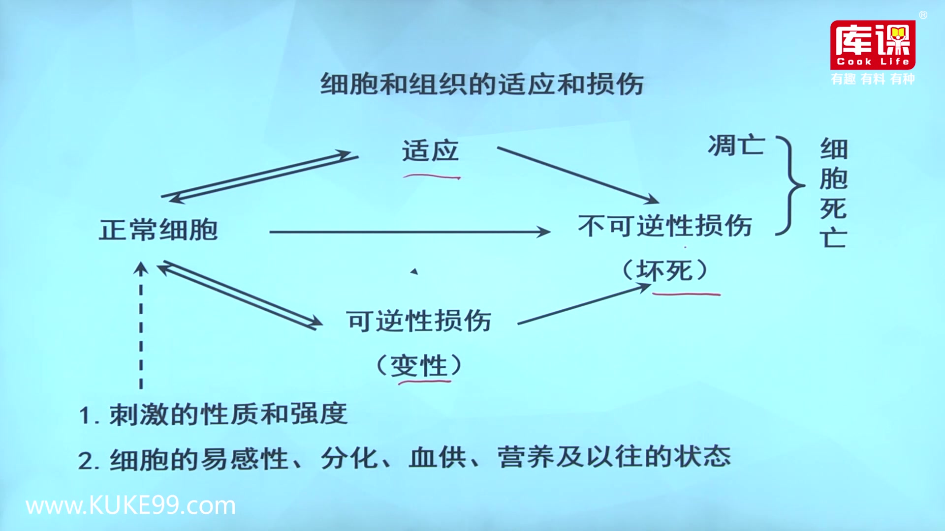 2020河南专升本病理学基础精讲课第2章 细胞和组织的适应和损伤1适应01哔哩哔哩bilibili