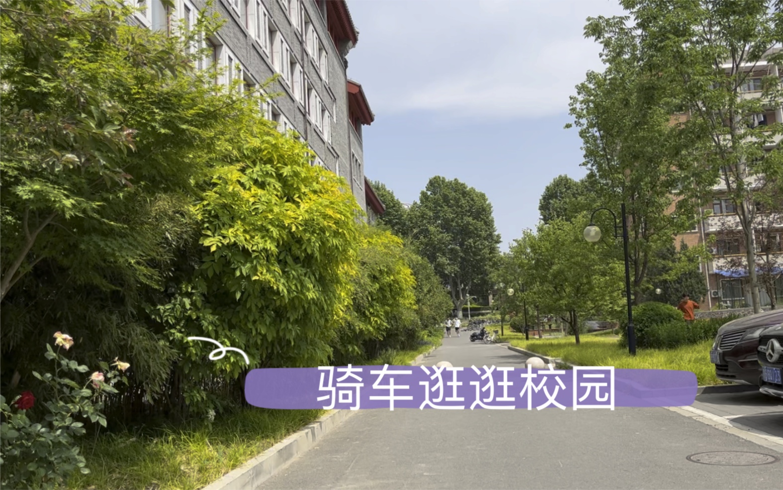 【清华校园】苏世民学院到宿舍~哔哩哔哩bilibili