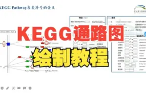 Download Video: KEGG通路图绘制教程【百迈客生物】