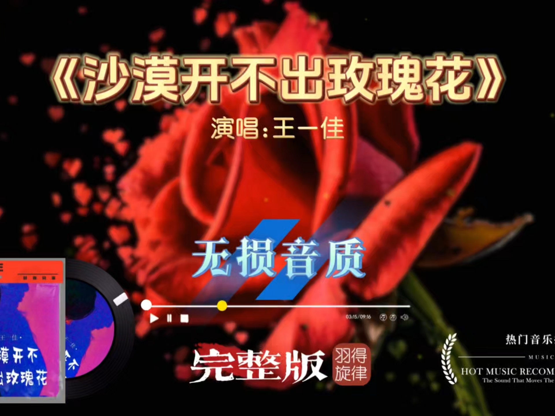 王一佳歌曲《沙漠开不出玫瑰花》完整版，句句走心，听完瞬间破防
