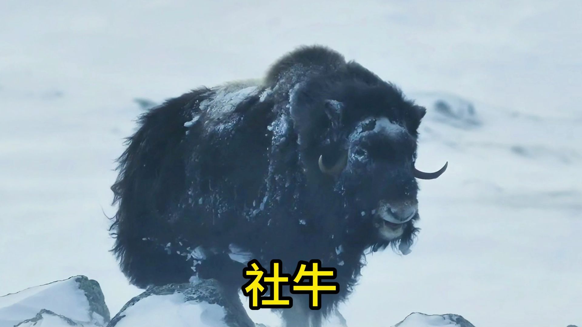 壁纸 风景 1920_1080