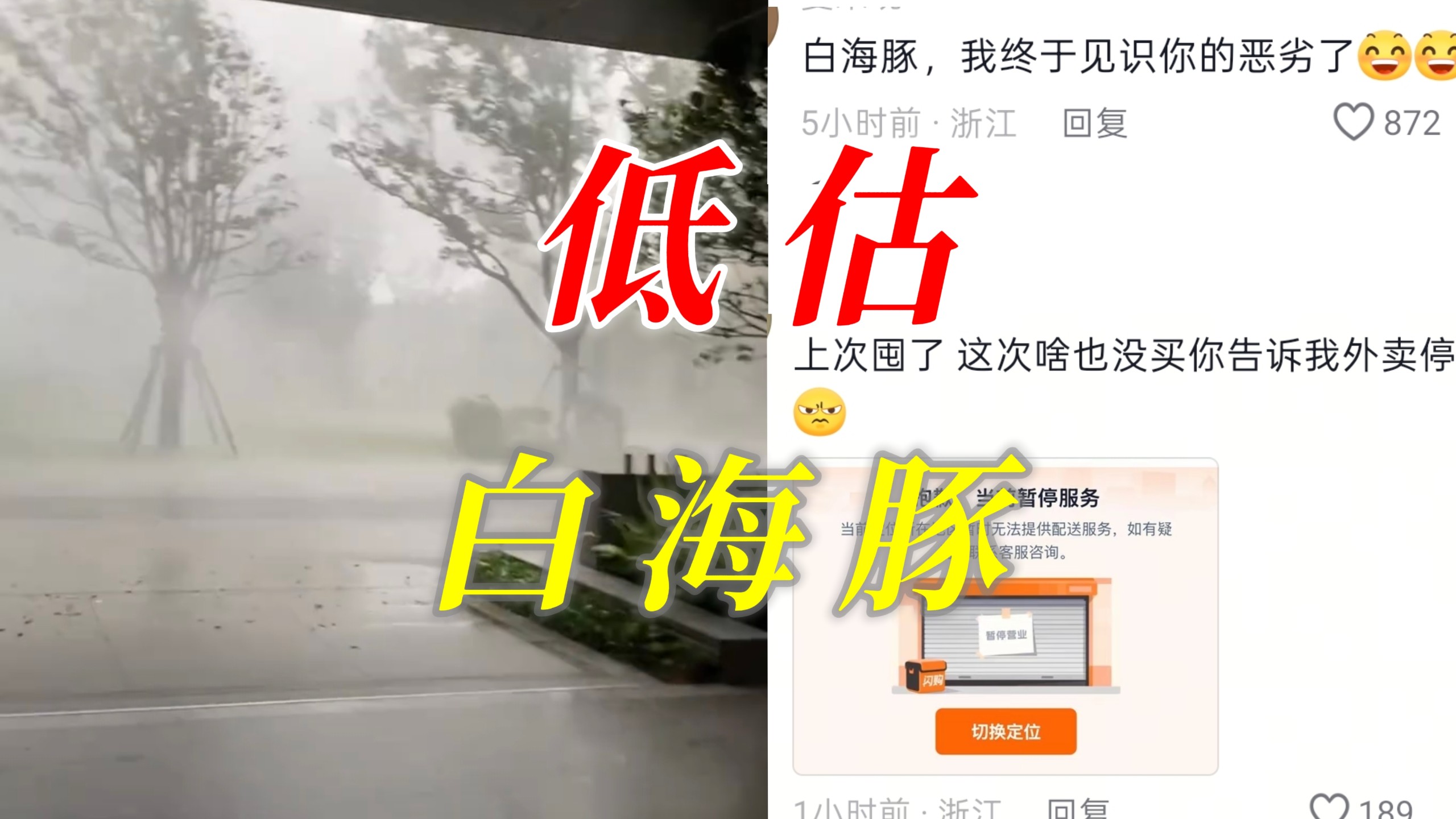 高估了巴威吃积食了，低估了白海豚什么也没买，没有一次是赌对的，网友：“白海豚，我见识到你的恶劣了”