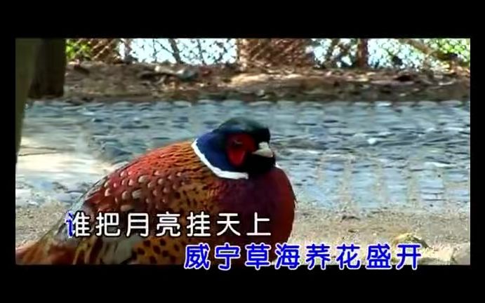 [图]【人声提取】凤凰传奇 - 奢香夫人