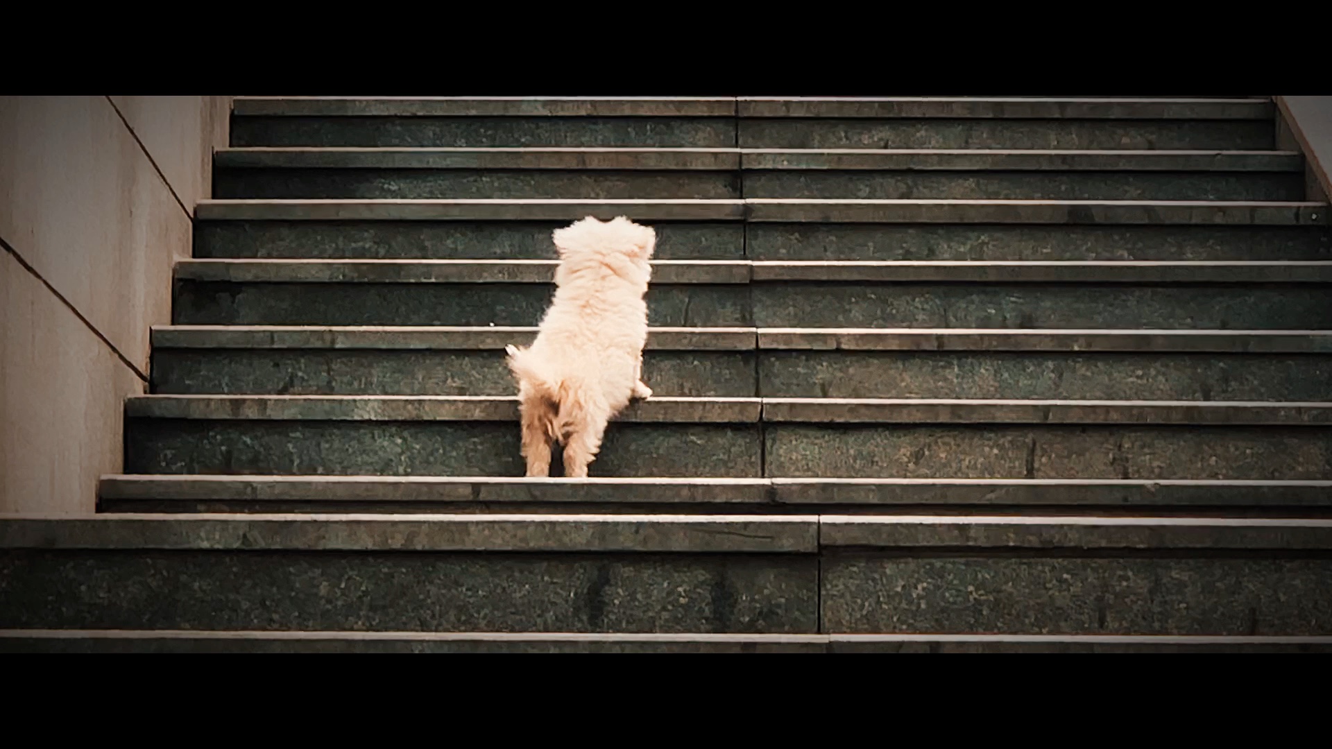 内心的期盼