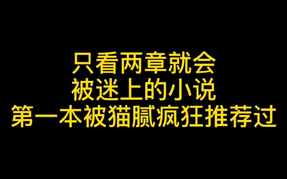 只看两章就会入迷的小说,真心好看哔哩哔哩bilibili