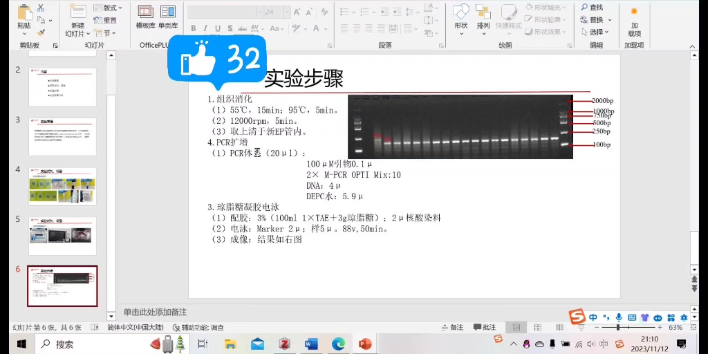 Flox小鼠基因型鉴定,不会的小伙伴快来看看叭哔哩哔哩bilibili