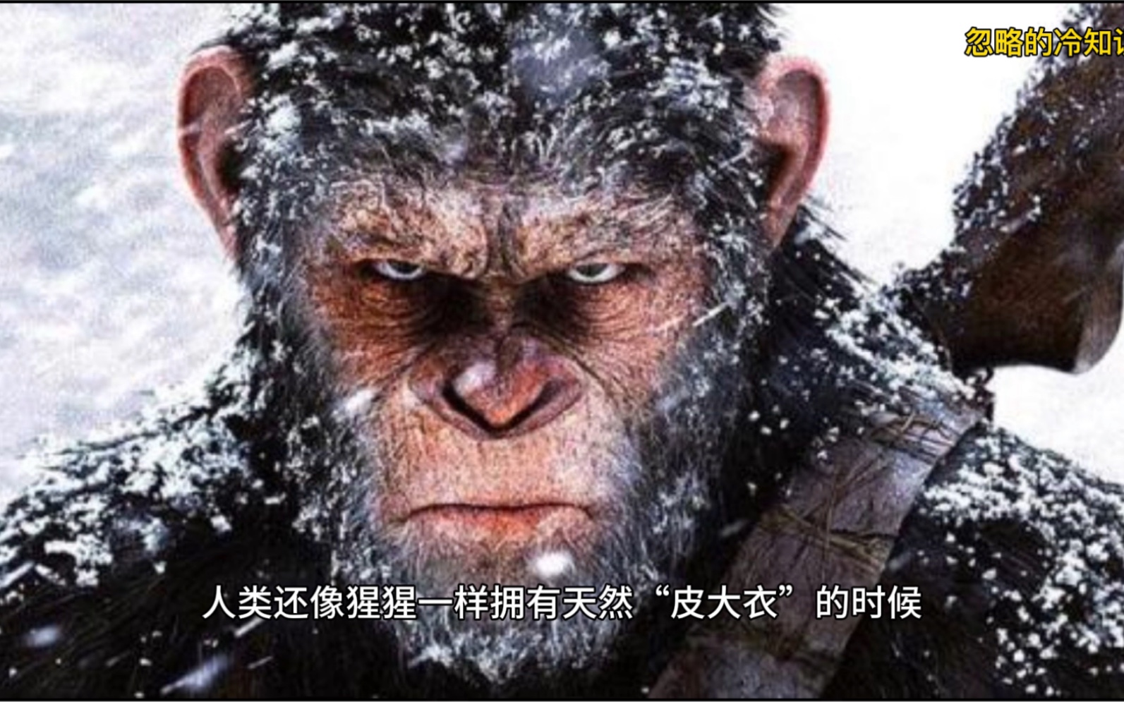 每次感动都会起鸡皮疙瘩(为什么感到震撼会起鸡皮疙瘩) 每次感动都会起鸡皮疙瘩(为什么感到震撼会起鸡皮疙瘩)