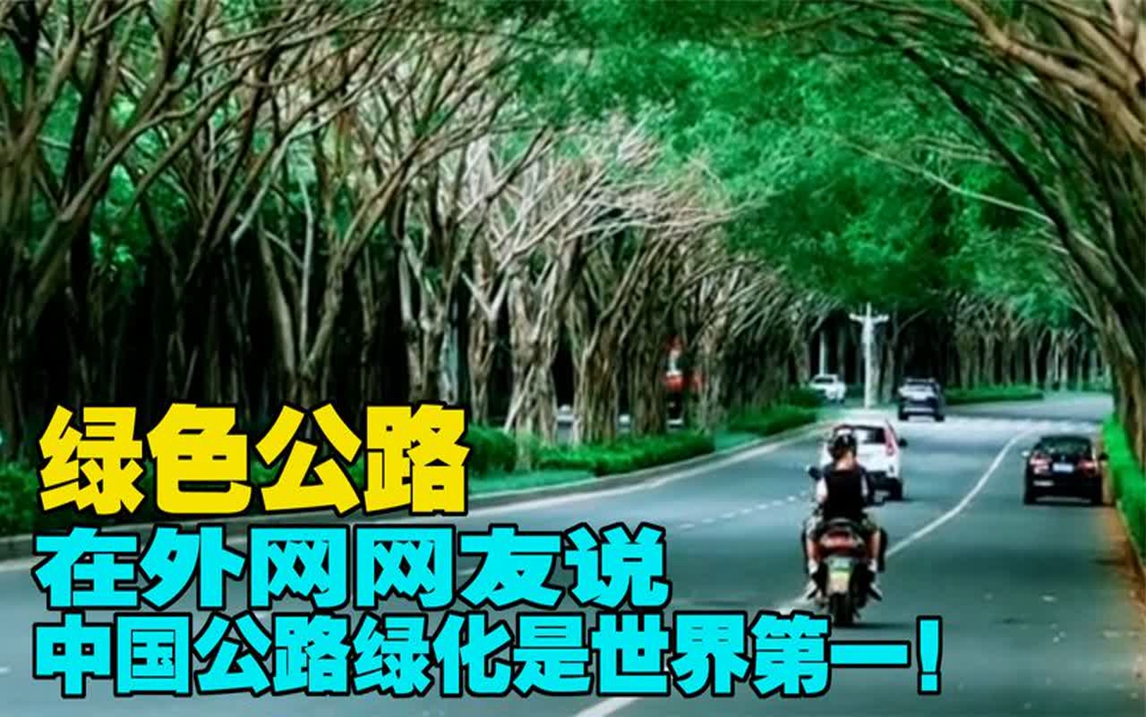 绿色公路,在外网网友说:中国公路绿化是世界第一!哔哩哔哩bilibili