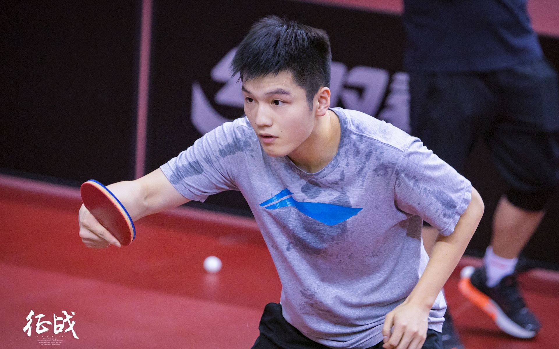 樊振东—准备好了吗?