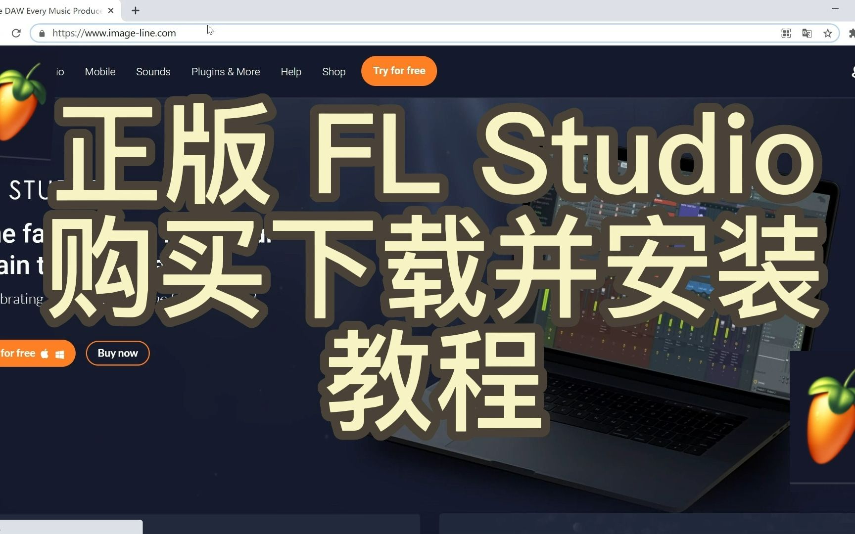 正版 FL Studio购买下载并安装教程!哔哩哔哩bilibili