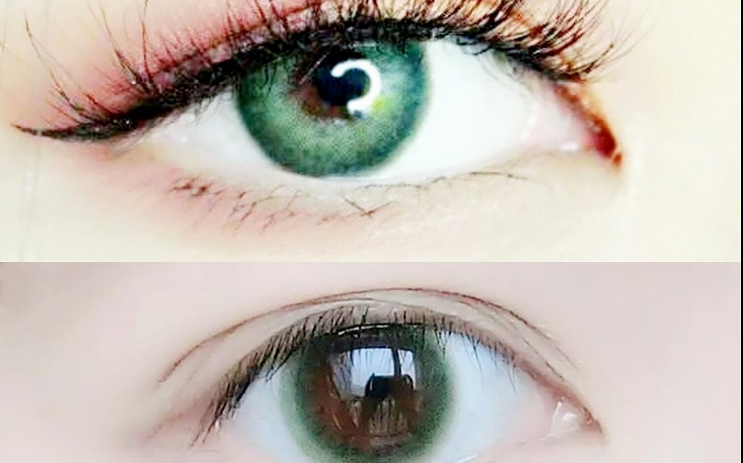 绿色美瞳安利知否知否应是绿肥红瘦妖艳or清新