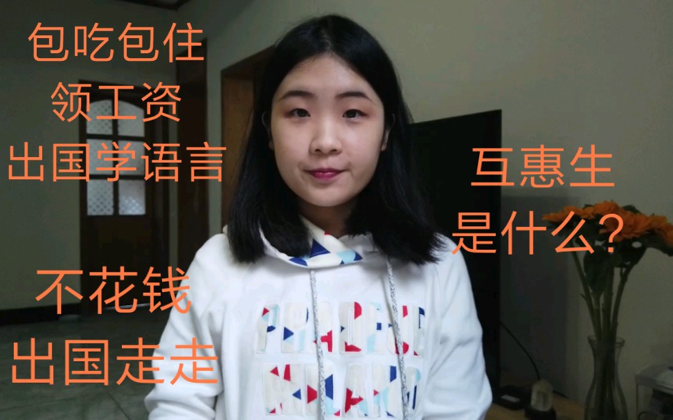 聊聊互惠生/包吃包住领工资学语言旅游/Gap year哔哩哔哩bilibili