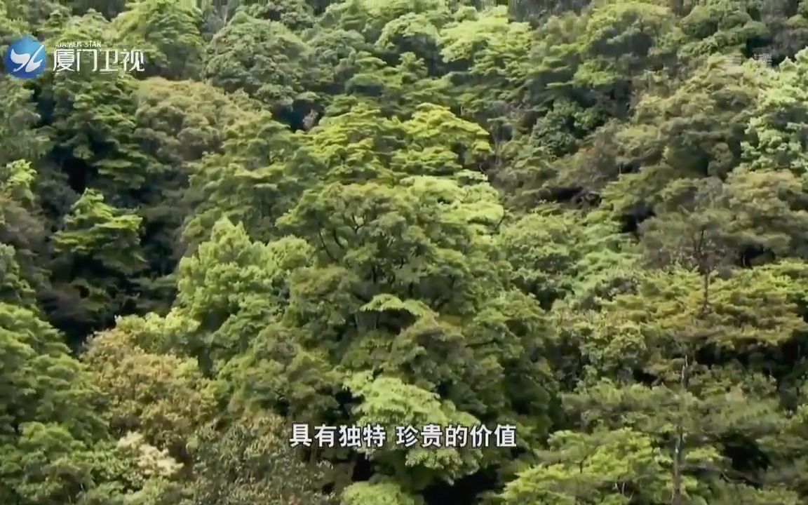 [图]《两岸秘密档案》2021.07.17：福建第一名山——武夷山