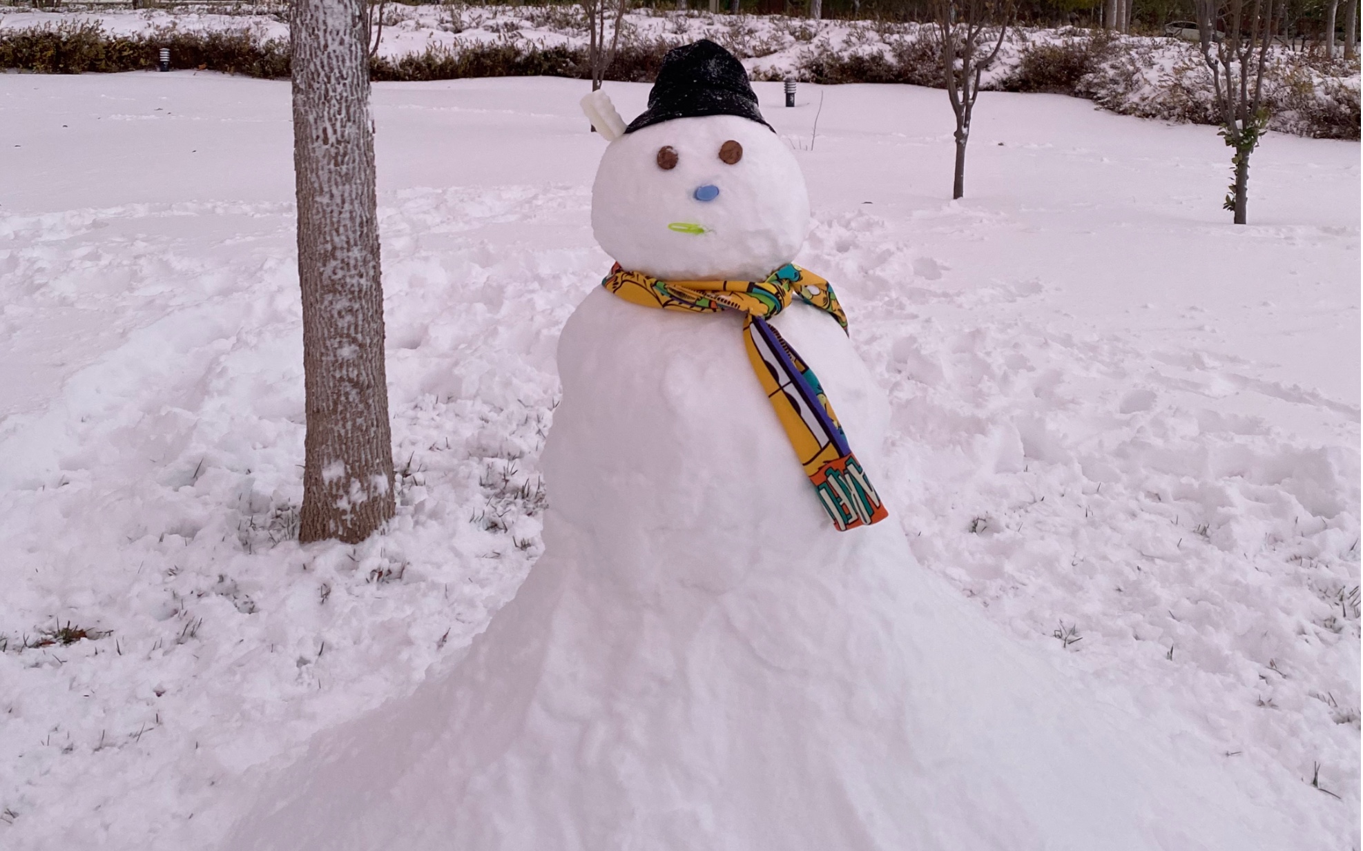 高质量雪人 记录2021第一场超大雪