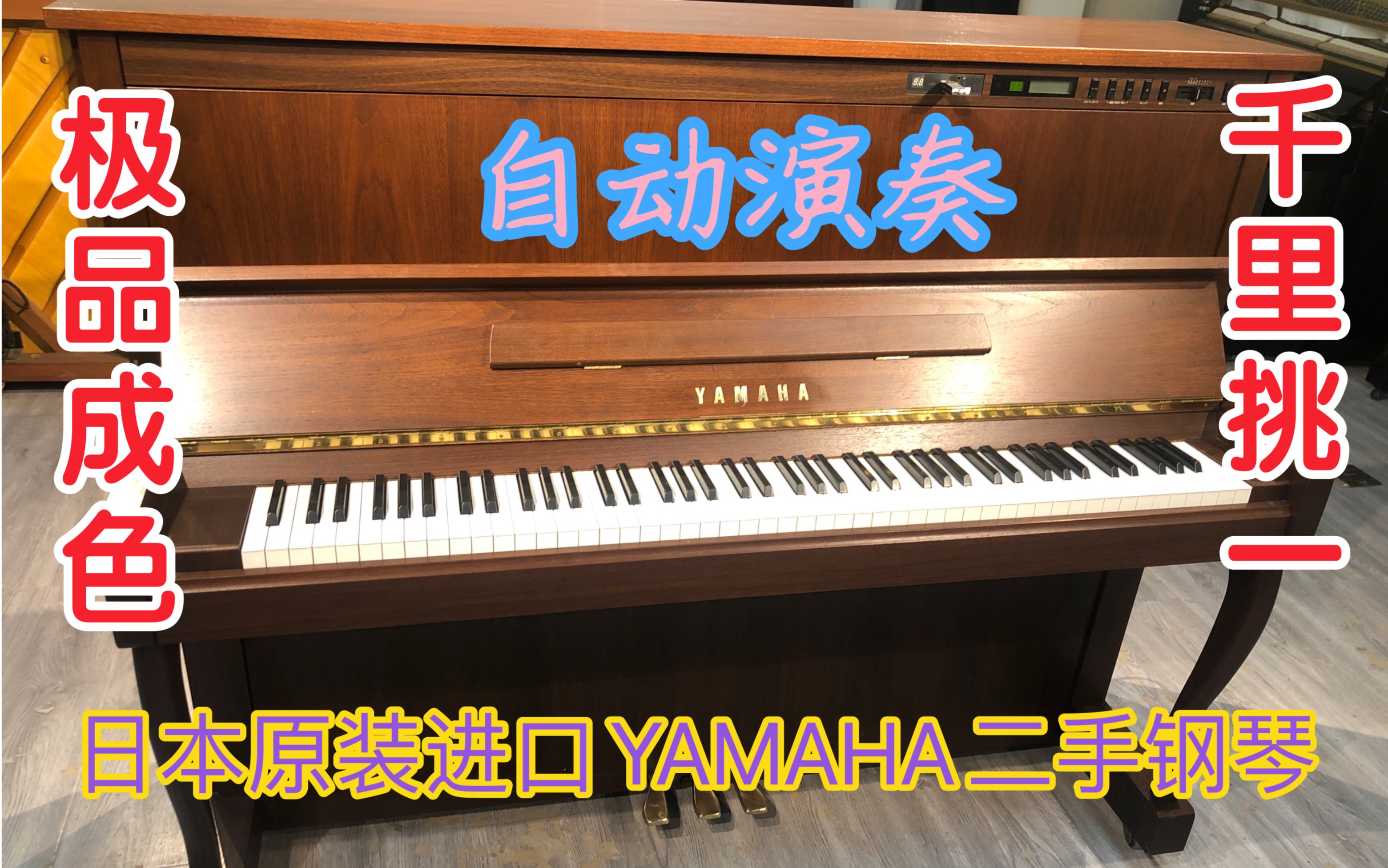 【高性价比YAMAHA精品】番号5012003极品成色千里挑一SX101RWnC雅马哈胡桃木猫脚弯腿1991年产日本原装进口二手立式钢琴哔哩哔哩bilibili