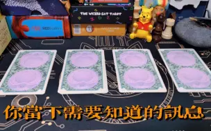 Download Video: 【X-Hermit Tarot】当下需要知道的讯息（timeless）