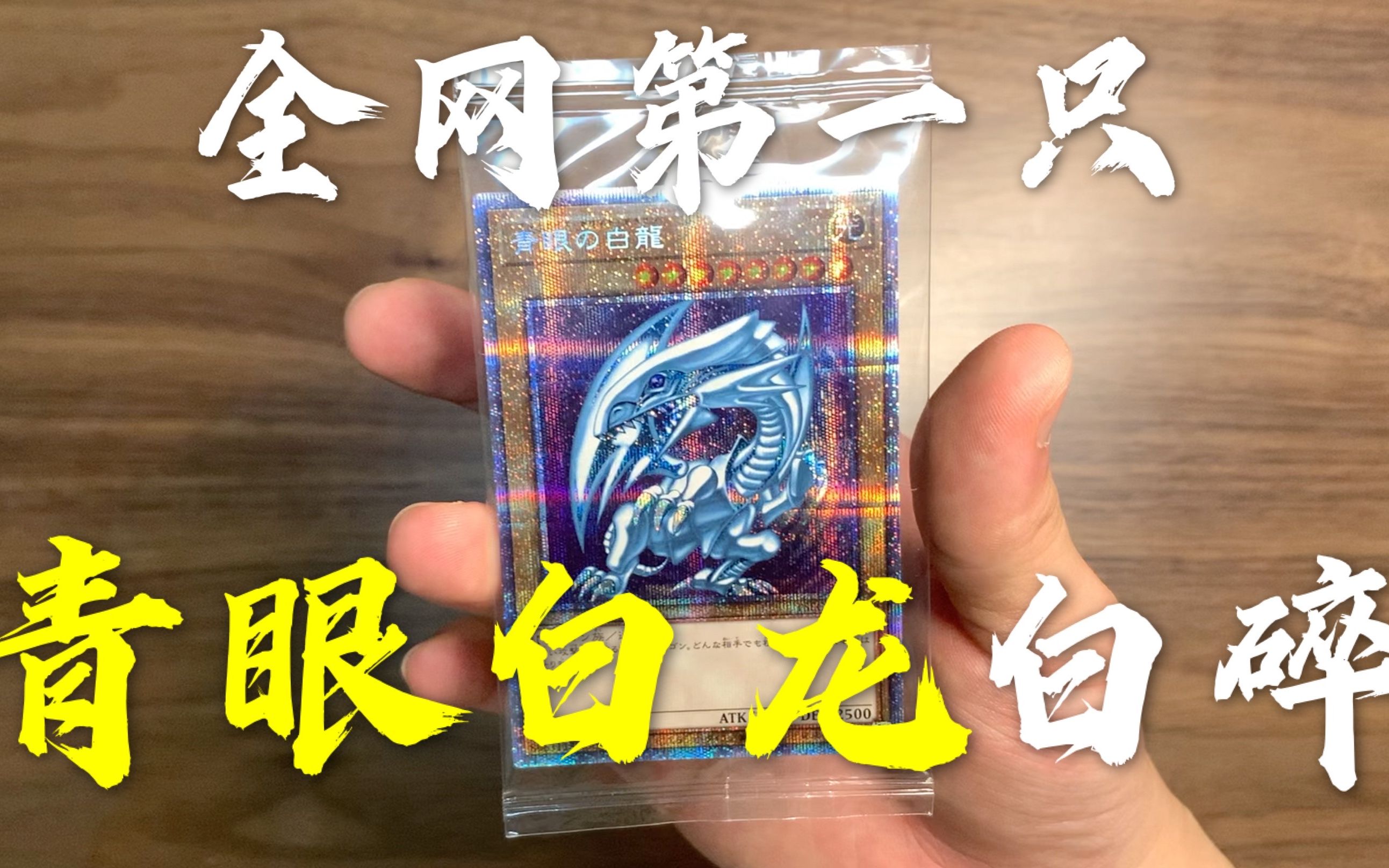 遊戲王白碎青眼白龍全網第一隻小豆給你分享遊戲王的喜悅