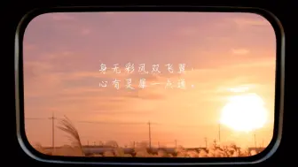 Download Video: 无题