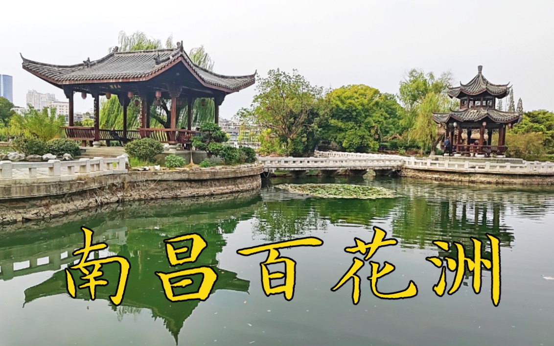 漫步在南昌八一公園裡的百花洲.