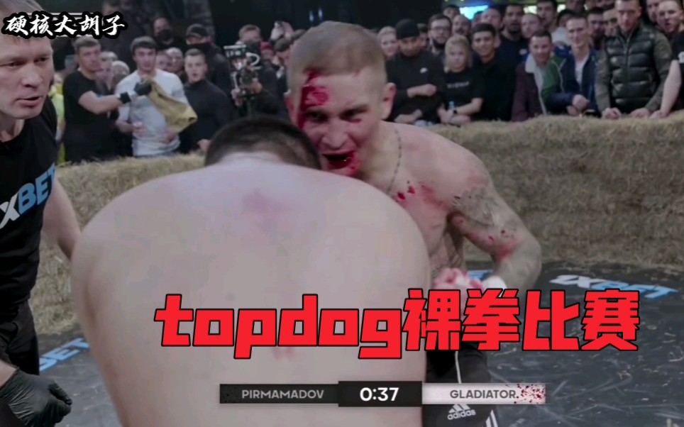俄罗斯top dog裸拳比赛,完美诠释暴力美学!_哔哩哔哩_bilibili