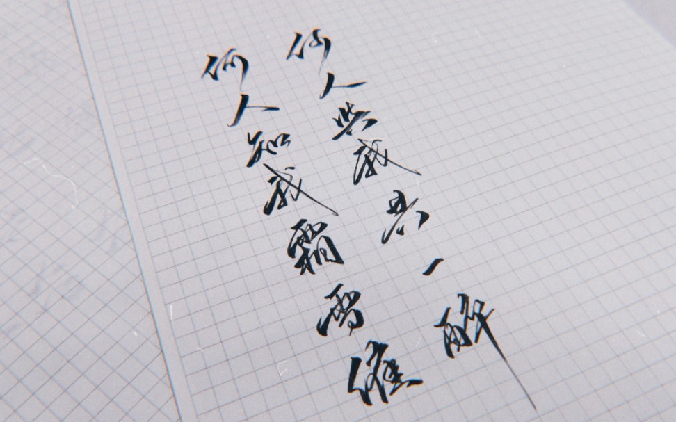 【手写】杀破狼|何人知我霜雪催_哔哩哔哩 (゜-゜)つロ 干杯~-bili