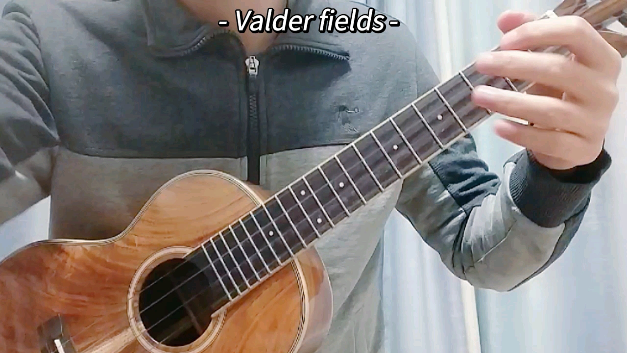 [图]《Valder fields》瓦尔德田野，超暖超治愈