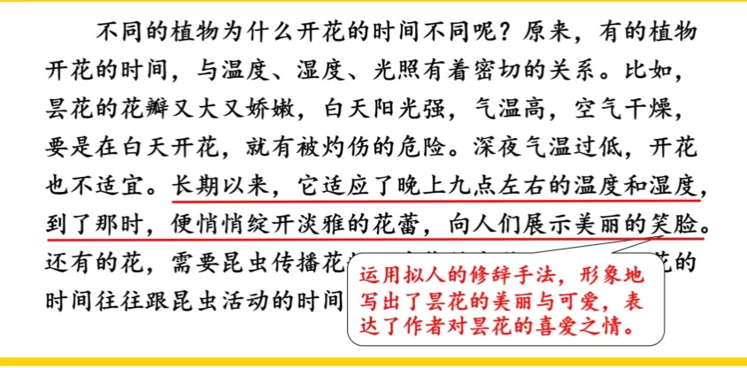 疫情期间停课不停学,三年级下册语文13《花钟》课文讲解哔哩哔哩bilibili