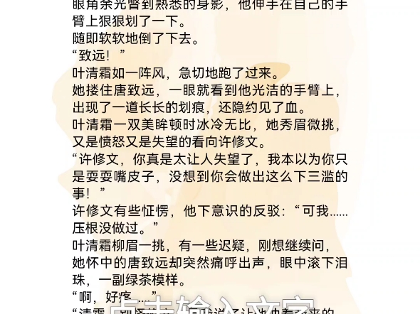 许修文叶清霜《不爱她后自由如风》许修文叶清霜唐致远 《爱是沉沦亦是自由》傅景深许卿音唐琬之1985年的深秋夜.文工团正在礼堂演出.再次被抢走领...