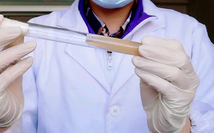 谢廖沙大肠埃希菌斜面菌种接种