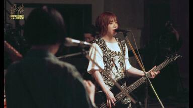 PEDRO 来ないでワールドエンド 浪漫 LIVE Blu-ray 東京 PEDRO】-「 浪漫」[浪漫STUDIO LIVE]_哔哩哔哩_bilibili