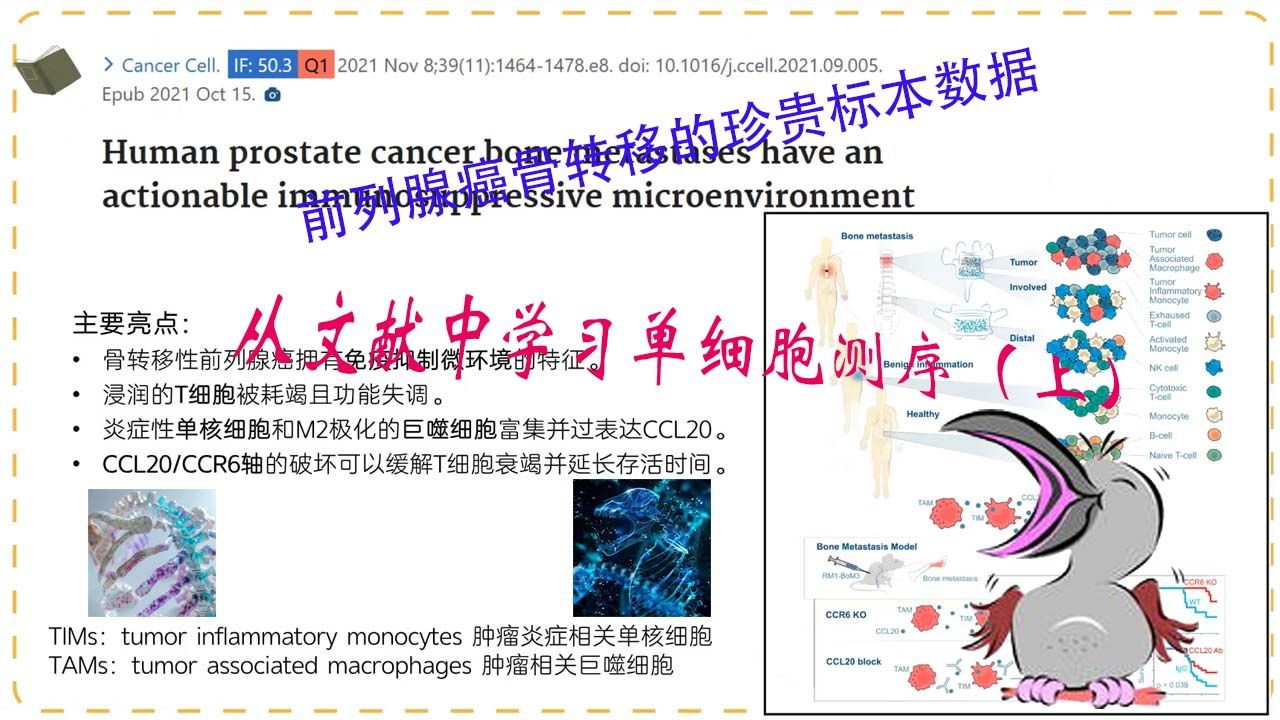 SCI文献导读——7月19日 cancer cell 前列腺癌骨转移中的单细胞测序哔哩哔哩bilibili