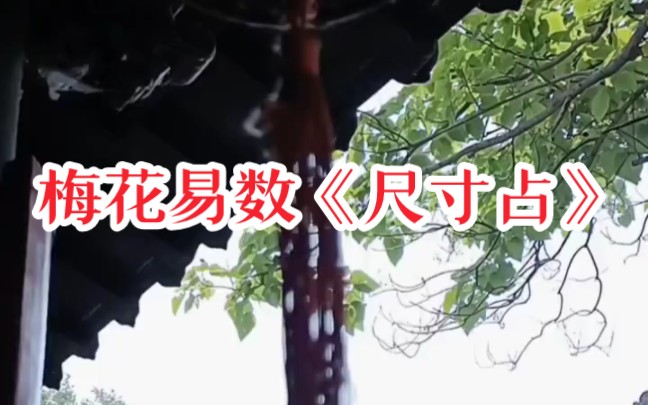 梅花易数纪实《尺寸占》哔哩哔哩bilibili