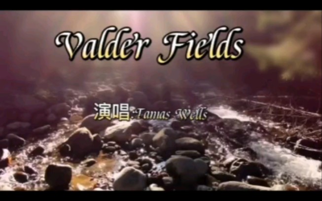 Valder Fields听过这首歌的人不少吧?哔哩哔哩bilibili