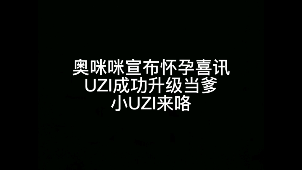 奥咪咪宣布怀孕喜讯UZI成功升级当爹小UZI来咯